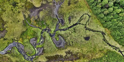An overhead shot of a winding river in a lush green area of unincorporated King County.