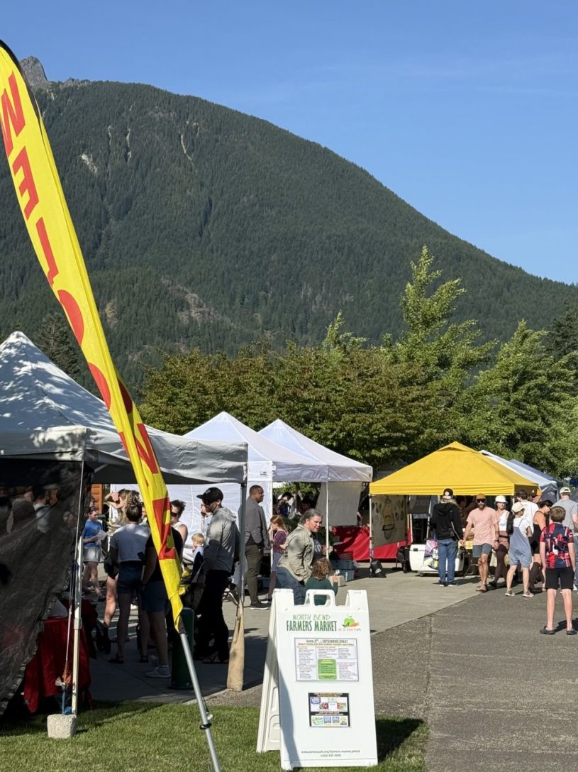 People walking around an outdoor farmers market with a lush mountainside in the background