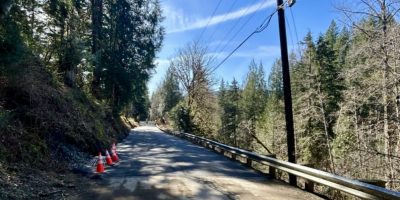 A recently repaired road in a heavily forested area.