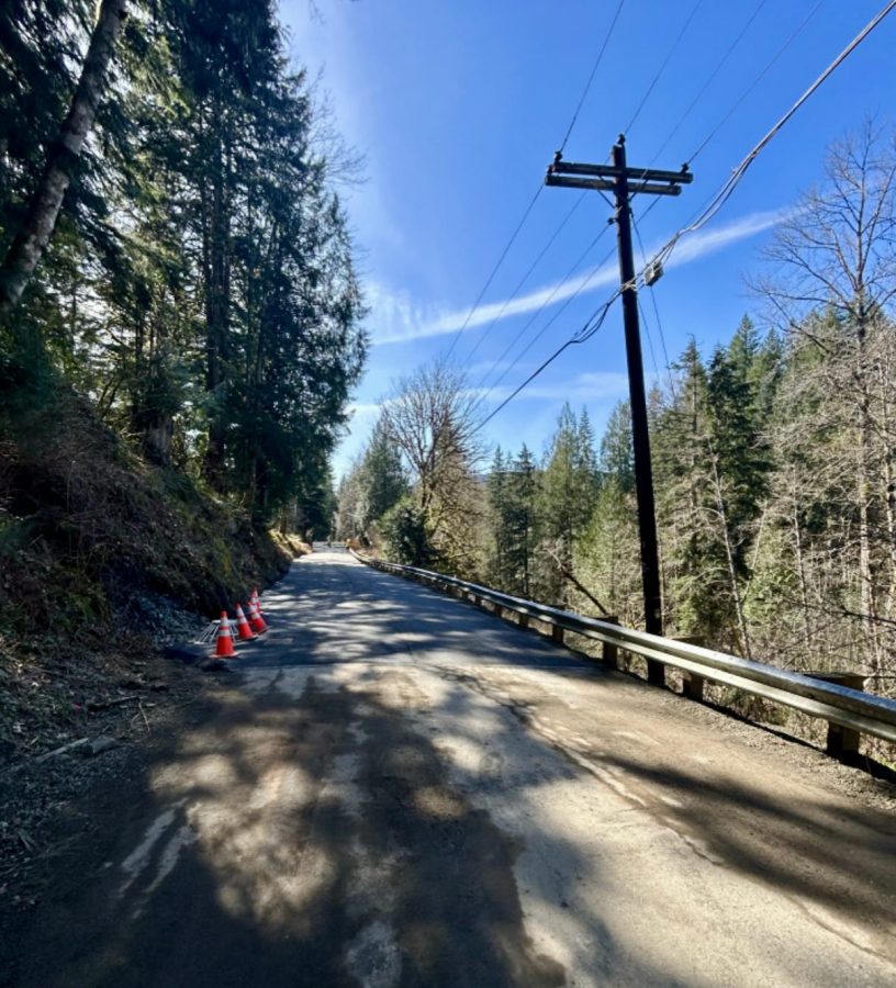 A recently repaired road in a heavily forested area.