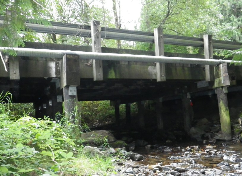 A picture of the Fifteen Mile Creek Bridge near Issaquah in unincorporated King County. The bridge is over a creek, and there greenery and trees surrounding it.